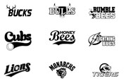 CarVa Signs - examples of graphic design products in North Carolina and Virginia